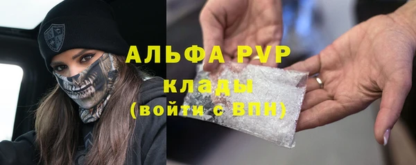 прущие крисы Аркадак