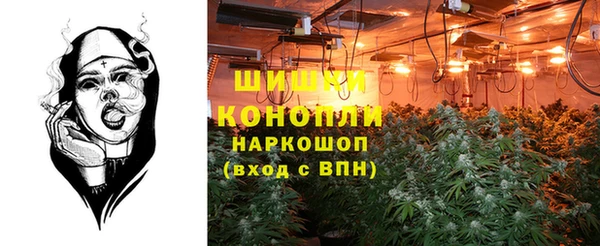 прущие крисы Аркадак