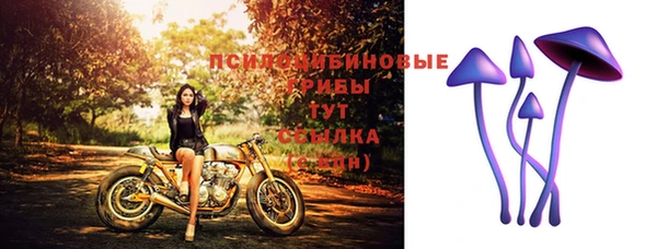 прущие крисы Аркадак