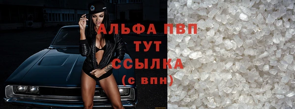 прущие крисы Аркадак
