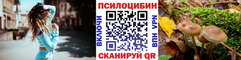 Галлюциногенные грибы Magic Shrooms  Саки 